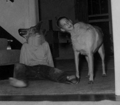 Boy and dog discuss areas of common interest
